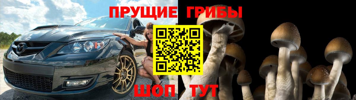 Галлюциногенные грибы Psilocybine cubensis  Вход с VPN  Десногорск  Псилоцибиновые грибы MAGIC MUSHROOMS 